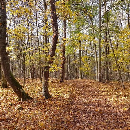 Gemuetliche Ferienwohnung Am Ortsrand Kreuzwertheim Eksteriør billede